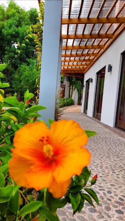 Hotel El Viajero La Libertad Zewnętrze zdjęcie